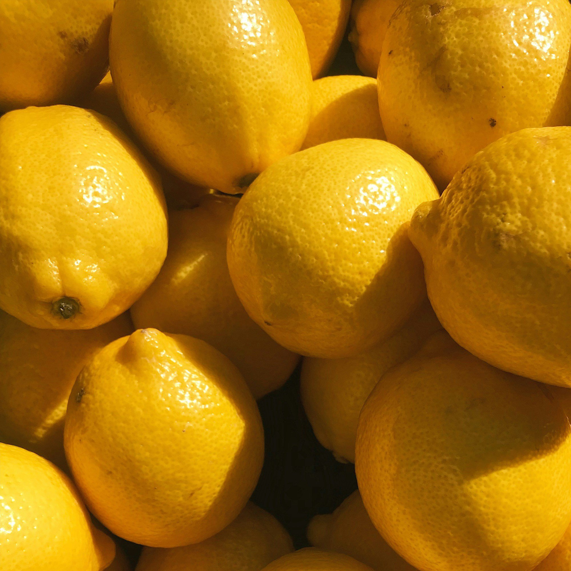 elena-baidak-hr3a-VnCIYY-unsplash (1)